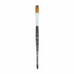 Princeton Aqua Elite Water Color Paintbrush