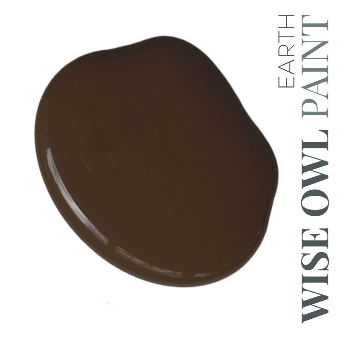 Wise Owl Chalk Synthesis Paint