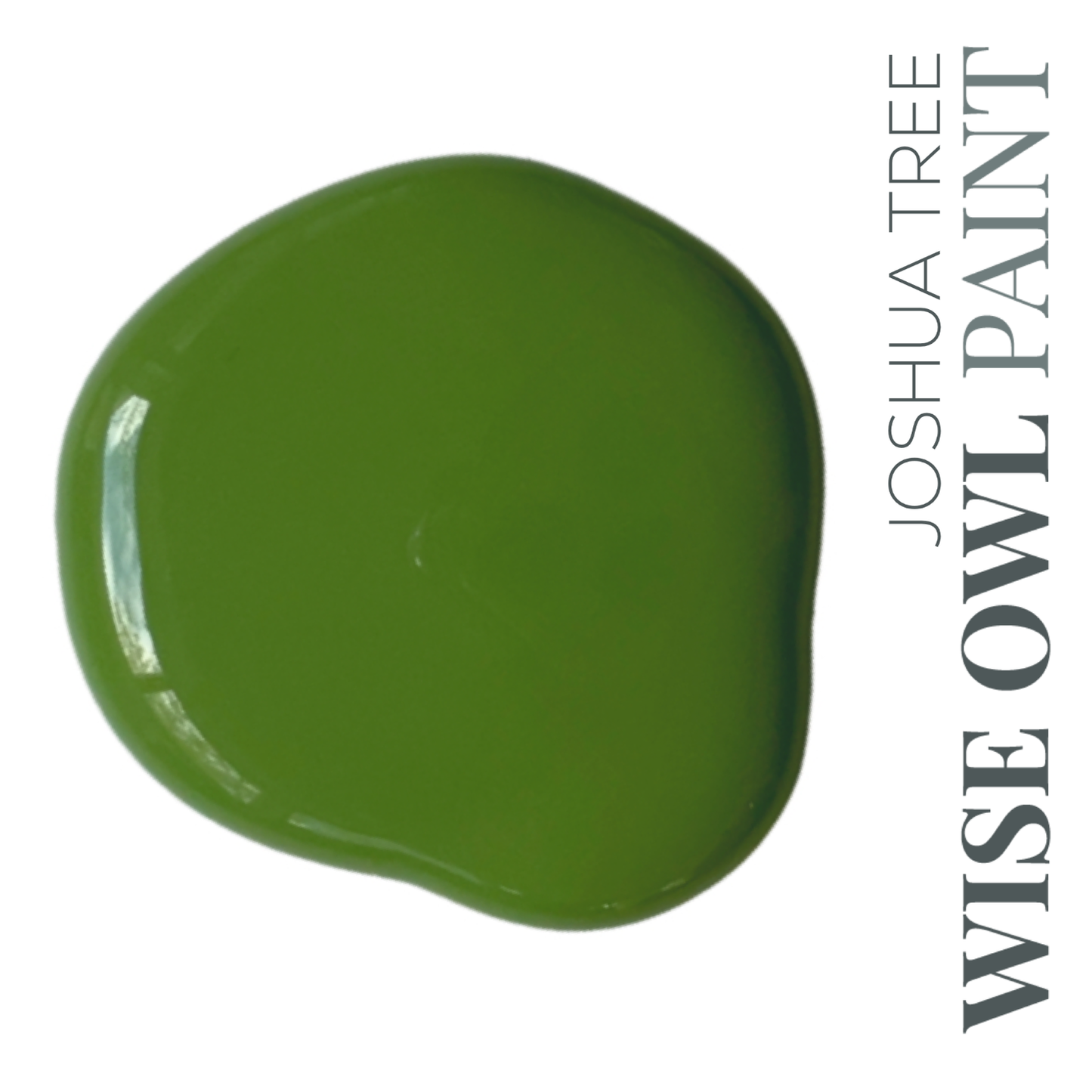 Wise Owl Chalk Synthesis Paint