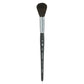 Princeton Aqua Elite Water Color Paintbrush