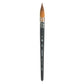 Princeton Aqua Elite Water Color Paintbrush
