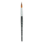 Princeton Aqua Elite Water Color Paintbrush